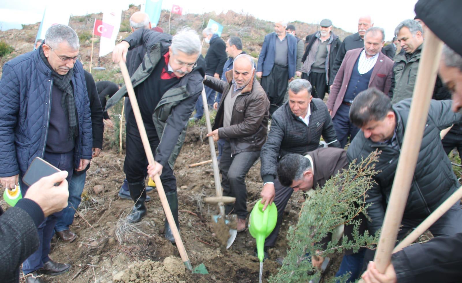 AK PARTİLİ YAYMAN:YANGINDA DA, AĞAÇ DİKİMİNDE DE BURADAYIZ!