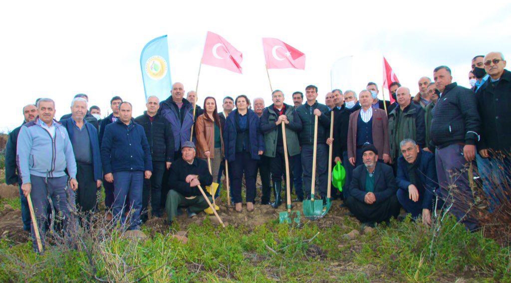 AK PARTİLİ YAYMAN:YANGINDA DA, AĞAÇ DİKİMİNDE DE BURADAYIZ!