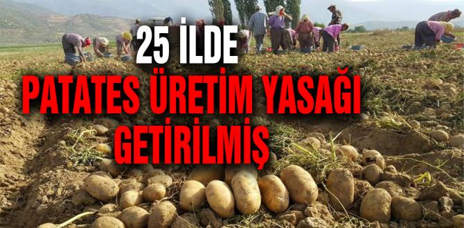 PATATES EKİMİ NEDEN YASAKLANDI, GÜMRÜK VERGİSİ NEDEN SIFIRLANDI?