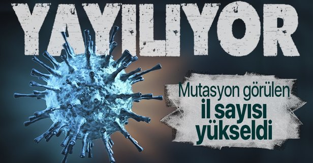 MUTASYONLU VİRÜSÜN GÖRÜLDÜĞÜ İL SAYISI 23'E YÜKSELDİ!