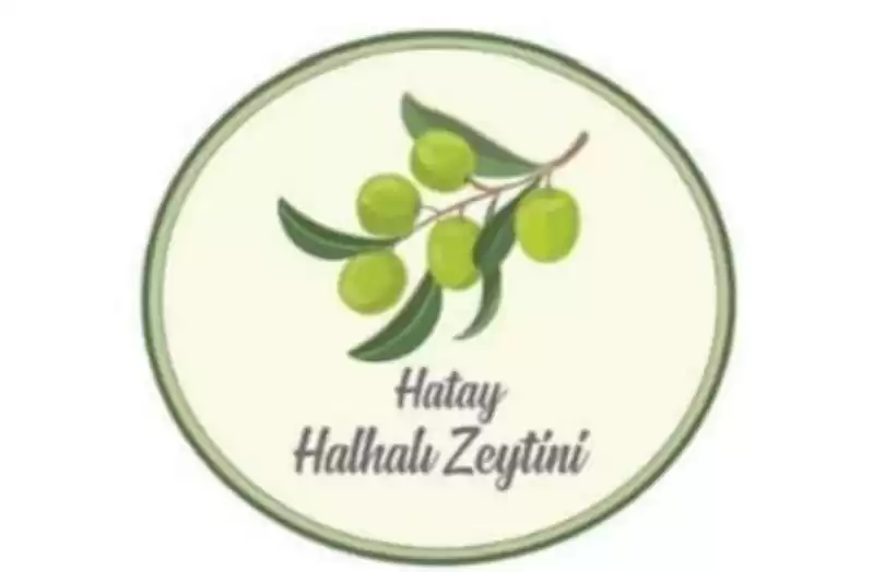 HATAY HALHALI ZEYTİNİ”NİN COĞRAFİ İŞARETİ ALINDI!