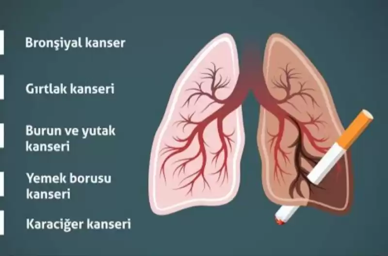 EN SIK GÖRÜLEN KANSERLERDEN 4 TARAMA İLE KORUNUN!