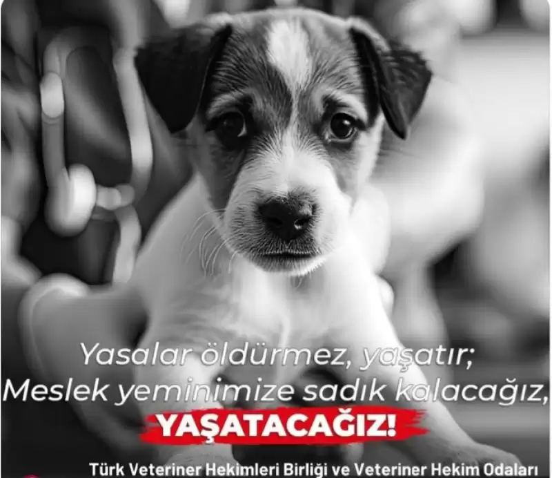 YASALAR ÖLDÜRMEZ, YAŞATIR, MESLEK YEMİNİMİZE BAĞLI KALACAĞIZ, YAŞATACAĞIZ!