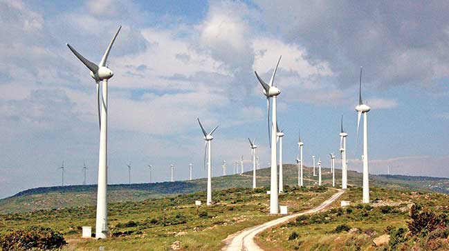 Hatay'daki Rüzgâr Santrallerinin Çevreye Verdikleri Zarar...