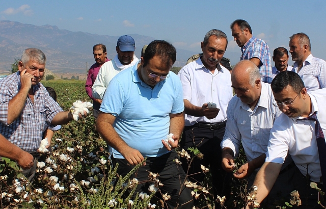 HASSA'DA PAMUK HASADI!