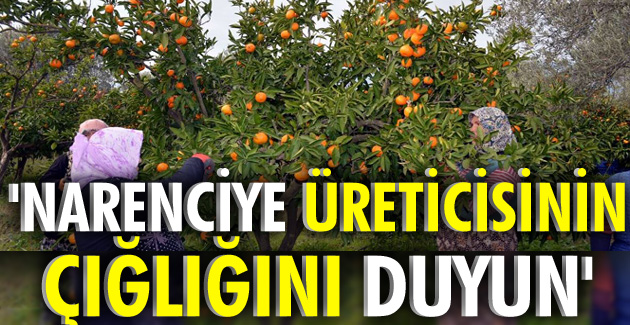 ÜRETİCİ DEĞİL, TÜCCAR KAR ELDE ETMEKTEDİR